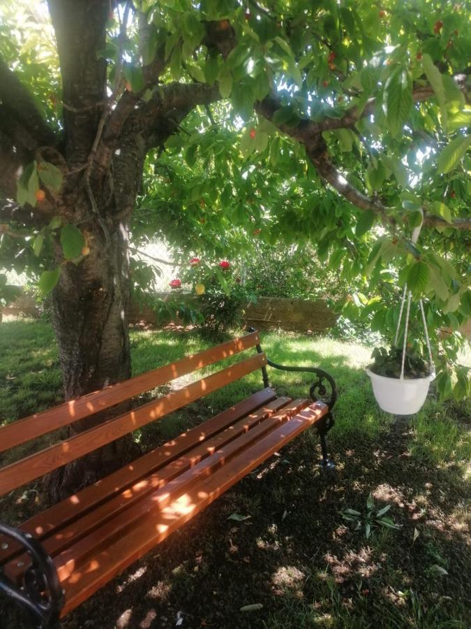 Apartment Ferara Betina  Zewnętrze zdjęcie